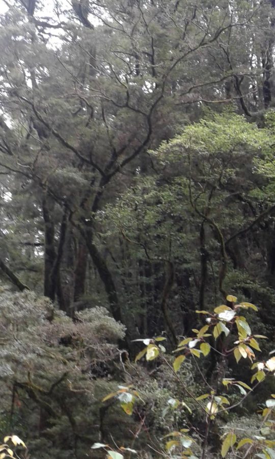 Living in the Mountains