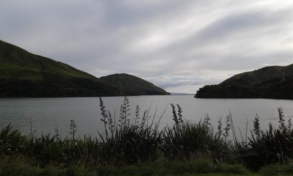 Rotokura, Nelson, Aotearoa