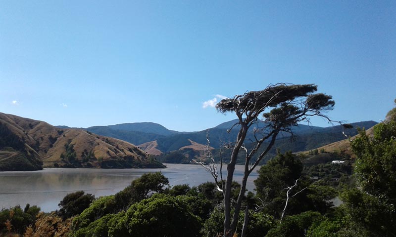 Rotokura, Nelson, Aotearoa